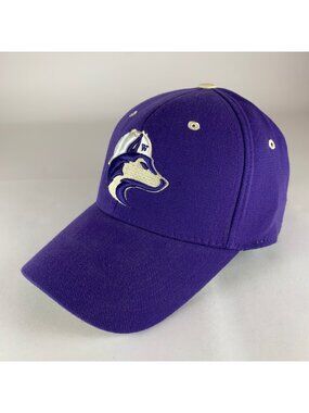 Washington Huskies NCAA Purple Top of the World Stretch Fitted Hat New